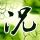 sakong online terbaik Lin Fan tanpa pamrih menampilkan versi lanjutan dari 